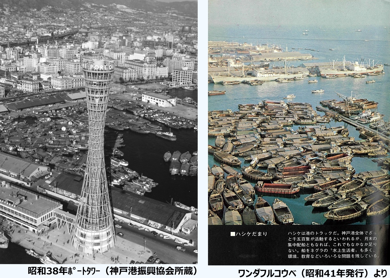 アートと神戸港の文脈 